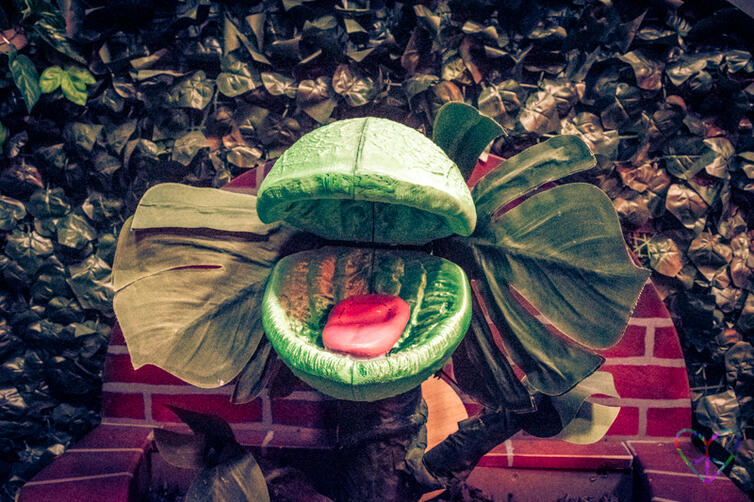 Rupert the cookie-loving plant in Conundrum Escape Rooms' Billy Bonka game