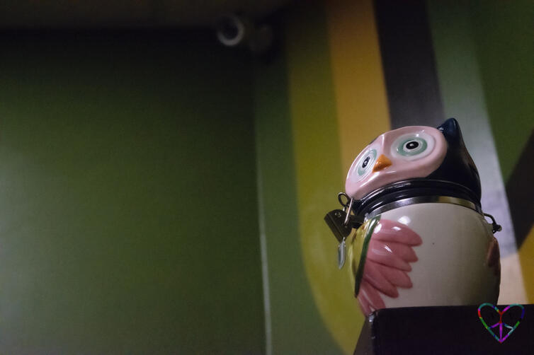 Yet another owl (with surveillance camera in the background) in Conundrum Escape Rooms' Experiment C-73 game